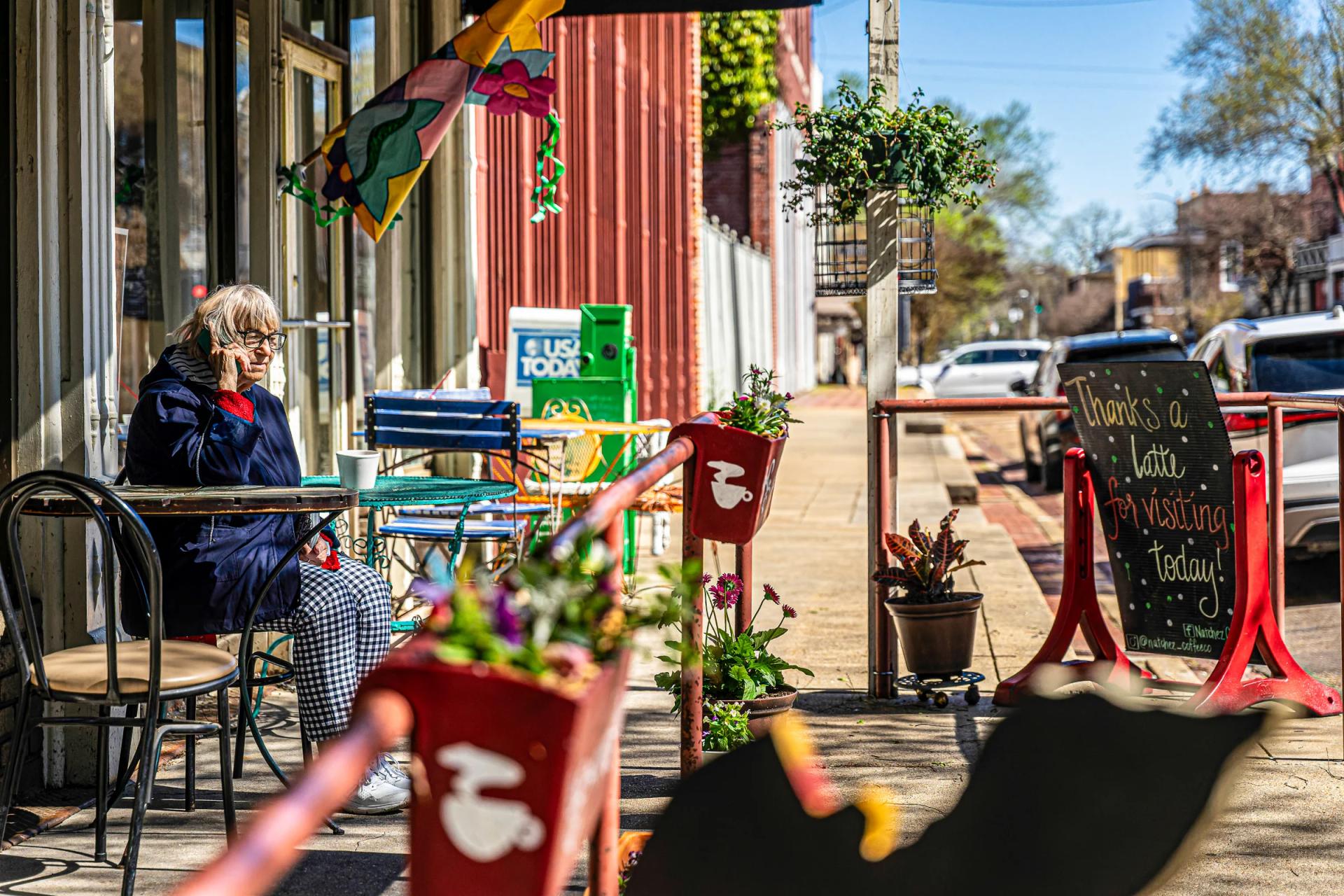 Live oak canopy over Ocean Springs